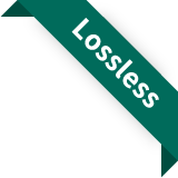 Lossless